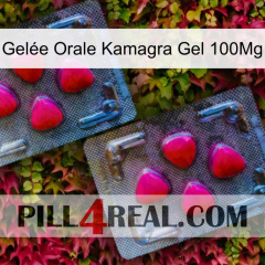 Gelée Orale Kamagra Gel 100Mg 14